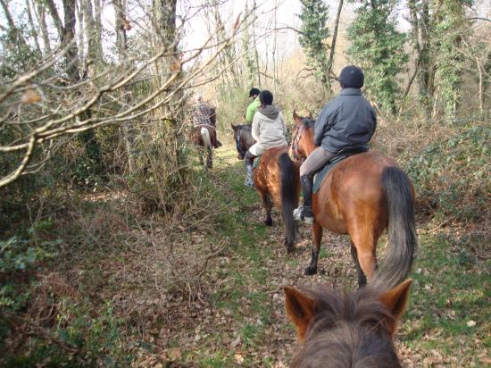 Rando Saint-Valentin 12 Février 2011