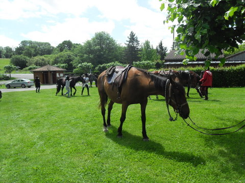 Rando-Auberge du 12 Juin 2010
