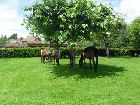 Rando-Auberge du 12 Juin 2010