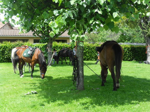 Rando-Auberge du 12 Juin 2010
