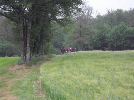 rando-nocturne 29/05/2010