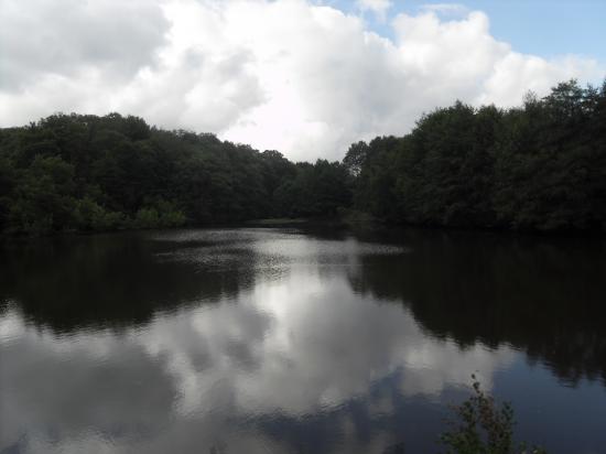Rando "Les Pieds dans L'eau " 28 Aout 2010