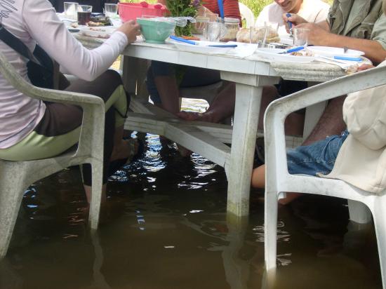 Rando " Les Pieds dans L'eau " 28 Aout