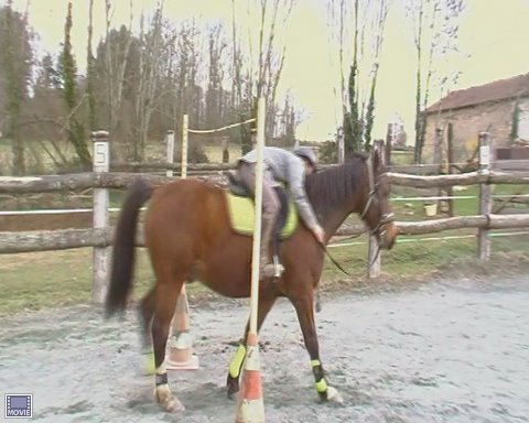Entrainement TREC