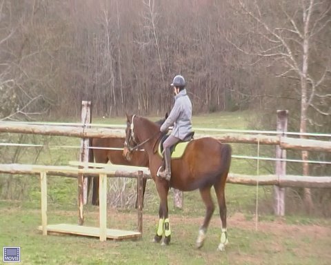 Entrainement TREC