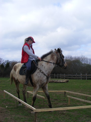 Entrainement TREC