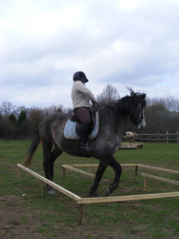 Entrainement TREC