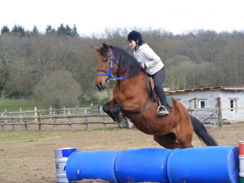 Entrainement TREC