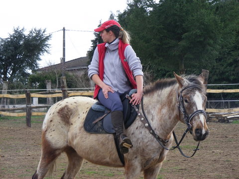 Entrainement TREC