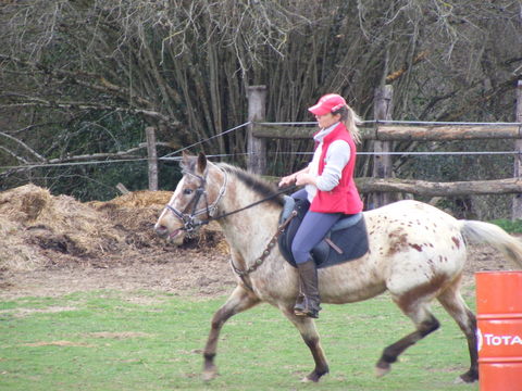 Entrainement TREC