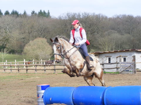 Entrainement TREC