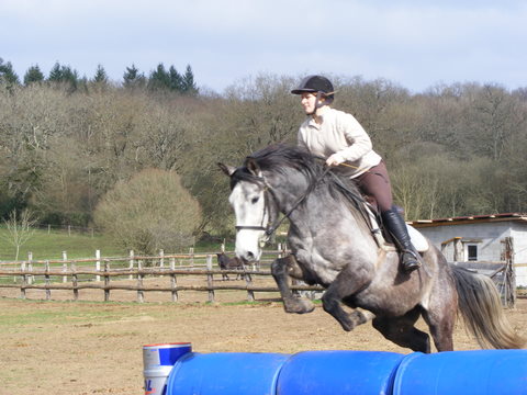 Entrainement TREC