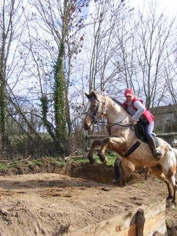 Entrainement TREC