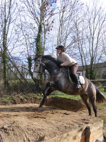 Entrainement TREC