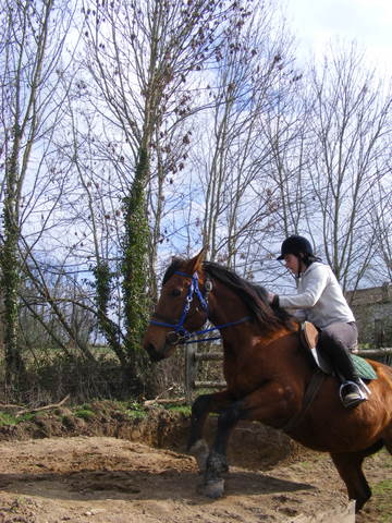 Entrainement TREC