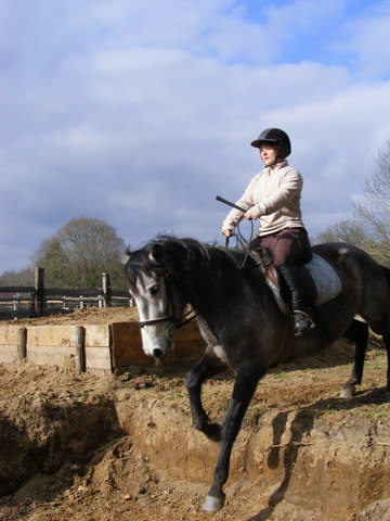 Entrainement TREC