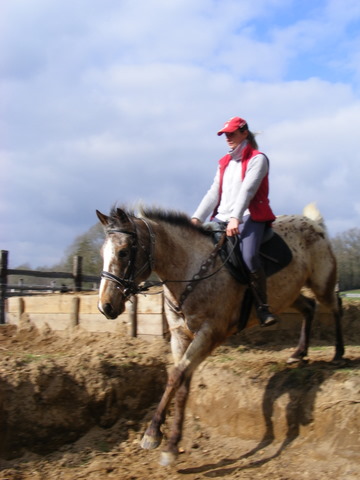 Entrainement TREC